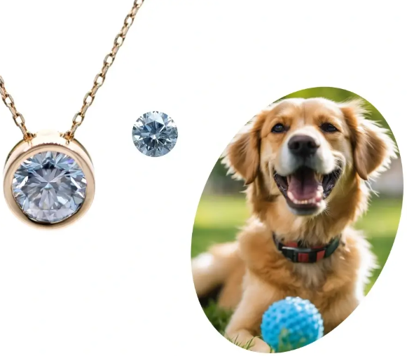 Saint Diamonds – Turn Ashes to Diamonds & Cherish Memories Forever - Newsglo