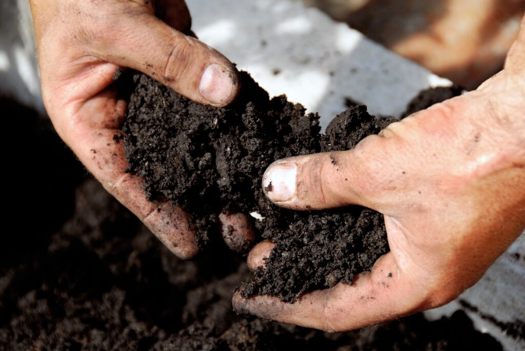 soil health consulting