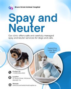 Spay and neuter clinic 