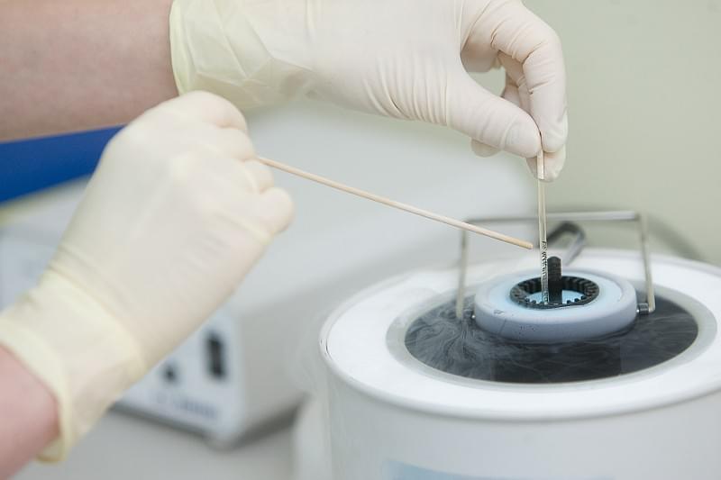 ¿Estás buscando un Tratamiento de fertilidad Natural? Descubre la propuesta de Fertilitas - Newsglo