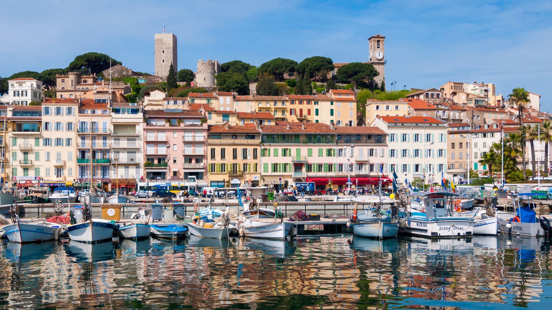 United States Cannabis Market