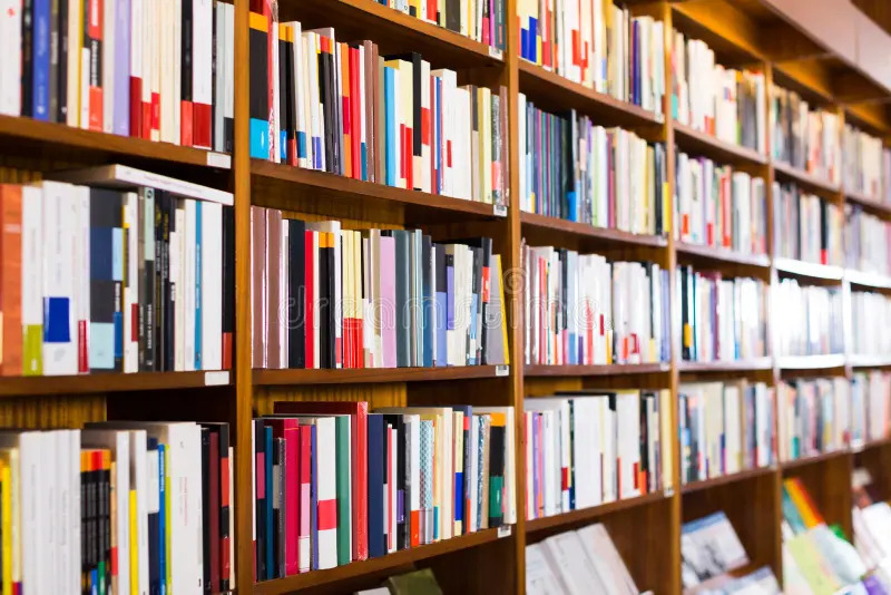 What Authors Should Know Before Starting the Book Publishing Process - Newsglo