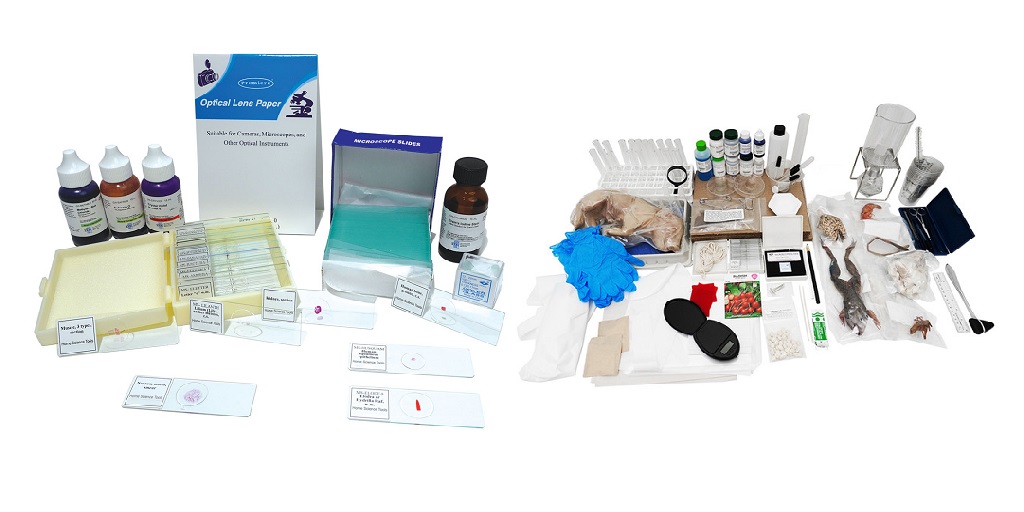 A Modern Homeschool Biology Curriculum Guide - Newsglo