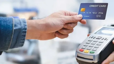 credit card processing no fees