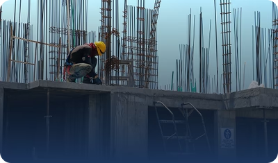 Expert arborist hawkes bay Tree Care Guide - Newsglo