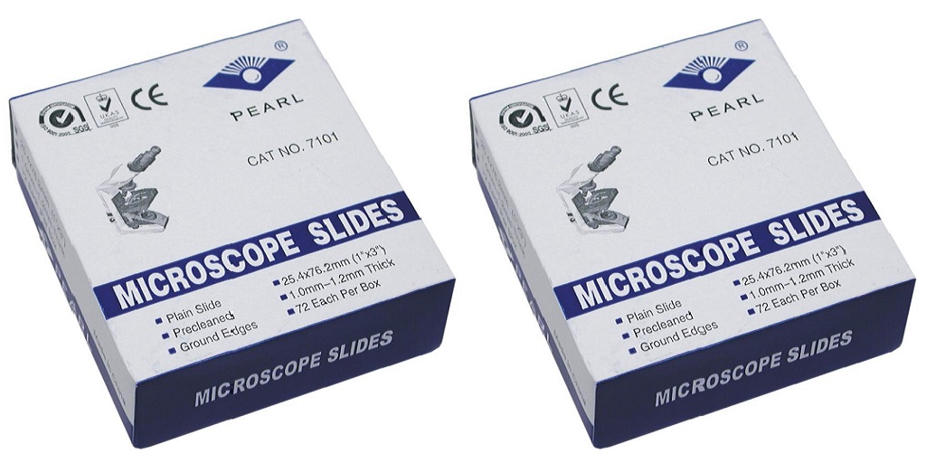 Microscope Slides: Explore & Learn - Newsglo