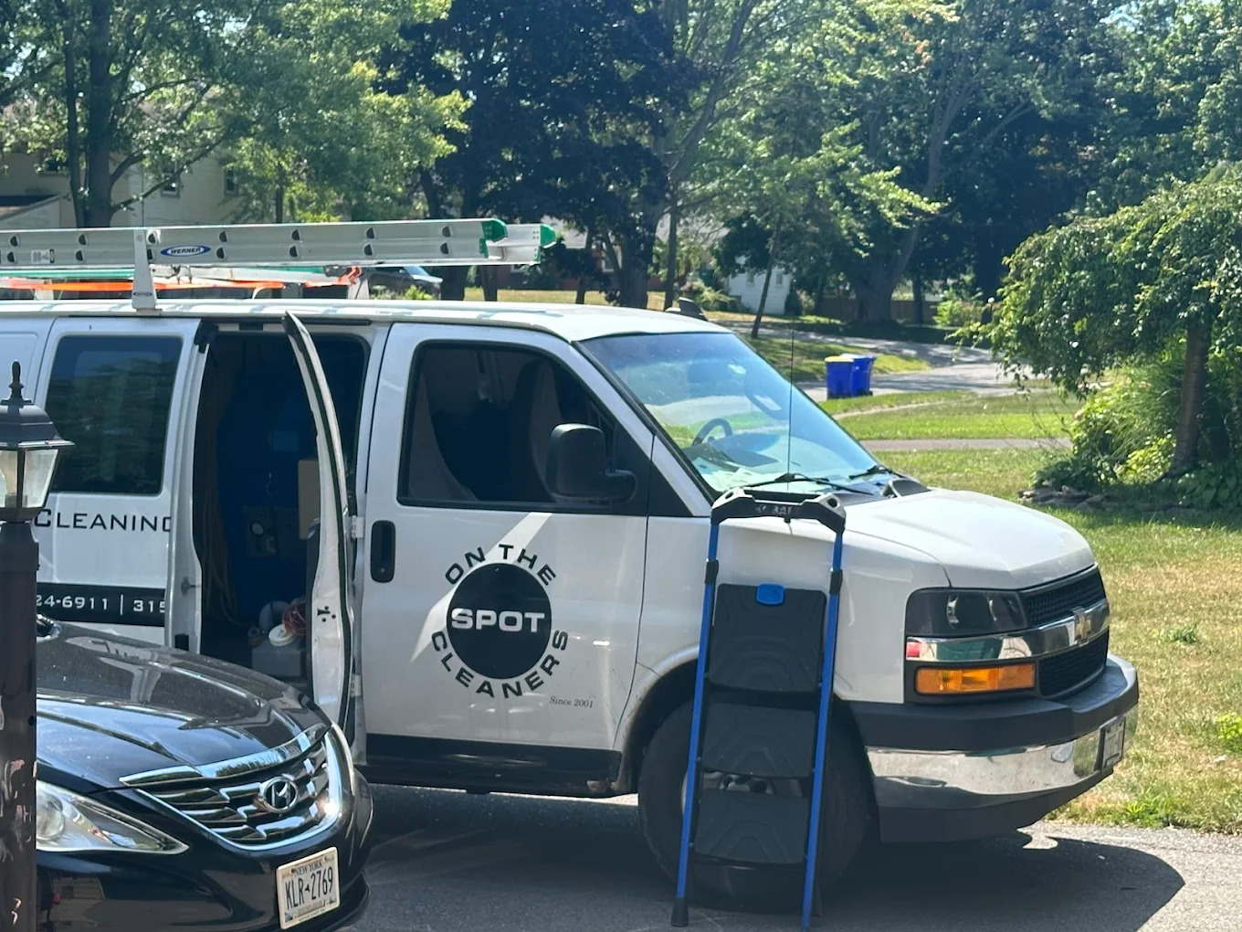 Protecting Your Property Value with Timely Mold Removal Solutions - Newsglo