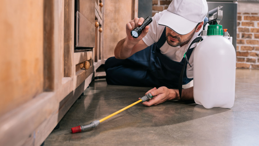 Commercial Pest Control Services in Crest Hill IL