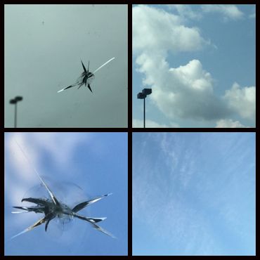 Expert Chip Repair in Edmonton – Restore Your Windshield Today - Newsglo