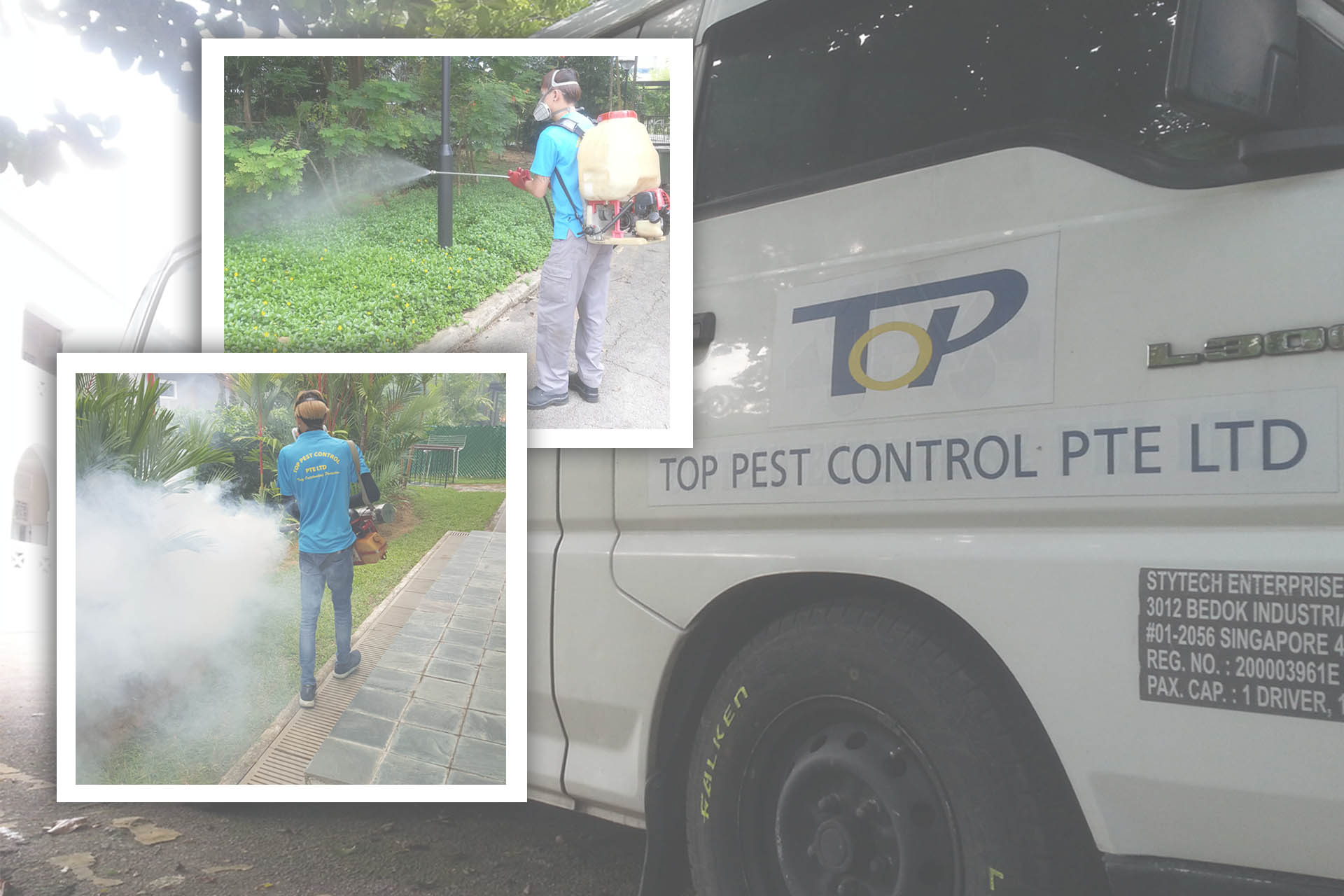Affordable Pest Control Services in Singapore - Newsglo Affordable Pest Control Services in Singapore - Newsglo