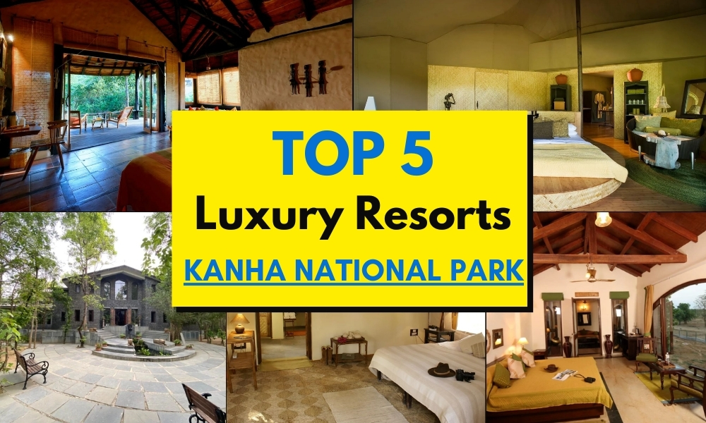 top luxury resorts in kanha national park