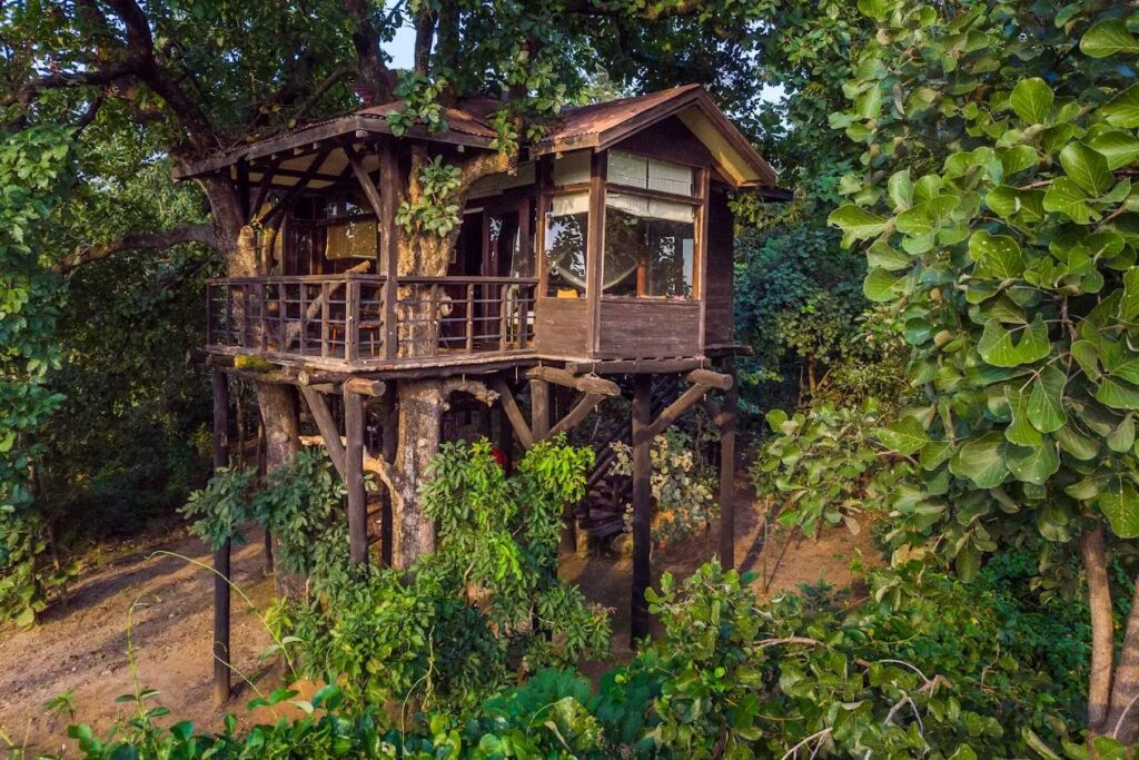 tree house stay in pench