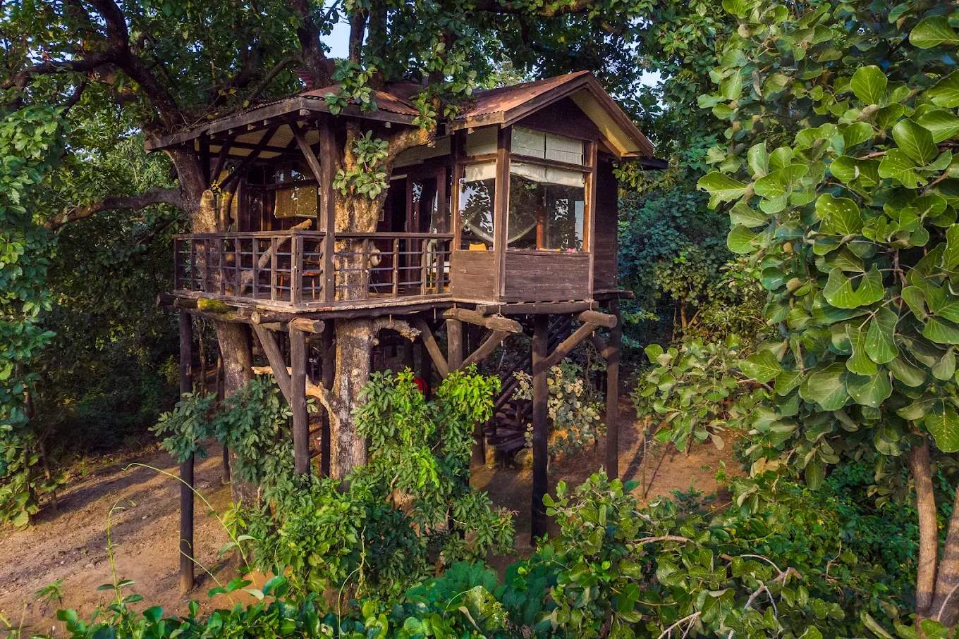 tree house stay in pench