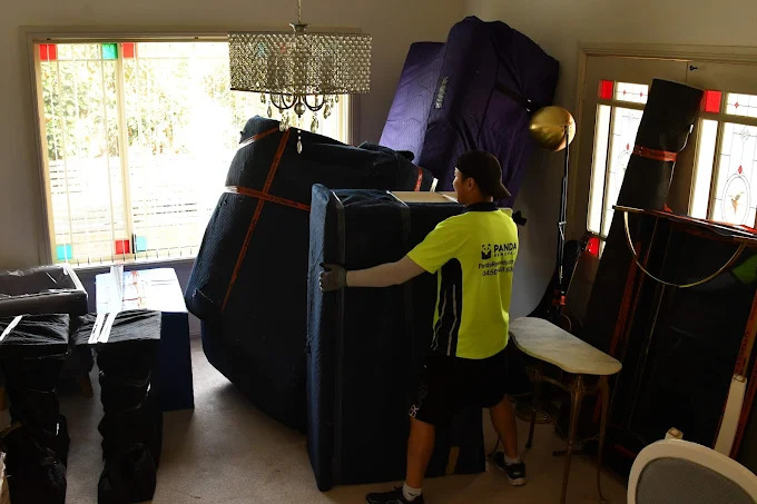 Sydney to Gold Coast Removals: Step-by-Step Moving Process Explained - Newsglo removalists sydney to gold coast