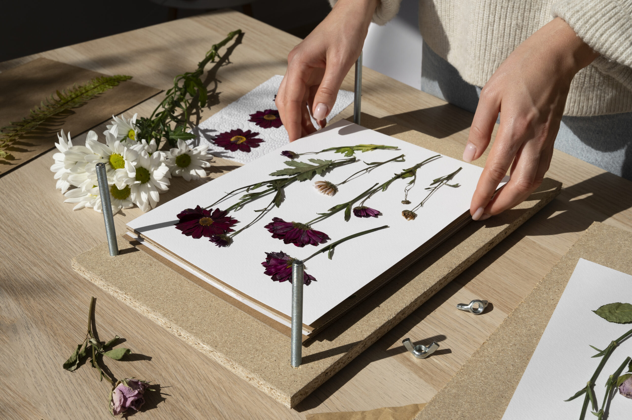 Pressed Flower Frames Sydney – Nature Preserved - Newsglo
