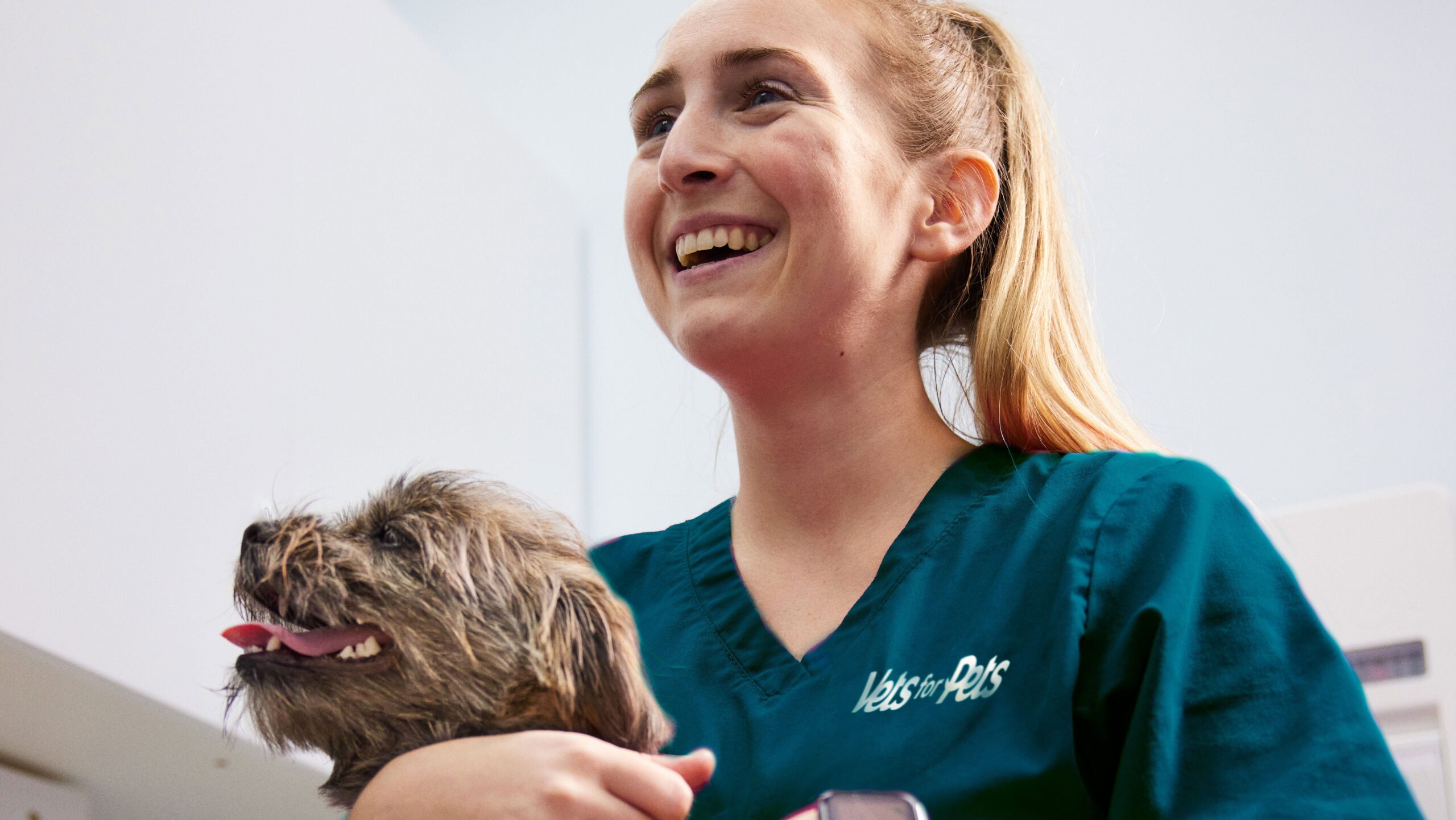 How to Prepare Emotionally to Put a Dog Down? - Newsglo vets for pets at home